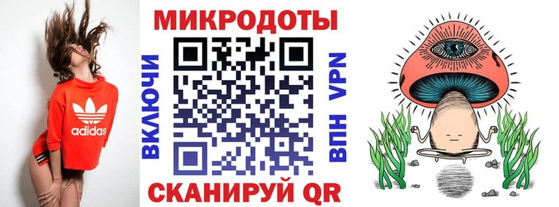 Галлюциногенные грибы Psilocybe  Тотьма 